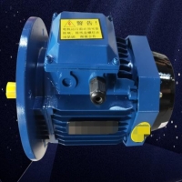 無刷工縫節能電機PE2是什么情況