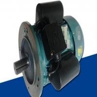 三相鼠籠式異步電機有哪幾種制動方式？