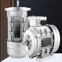 三相異步電機(jī)制動的原理是什么？