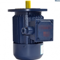 單相電機五個接線柱倒順開關怎么接