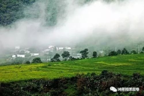 特殊要求-熱帶電機的絕緣保護措施